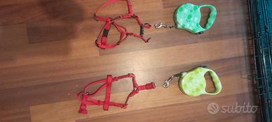 Guinzagli con imbracatura
