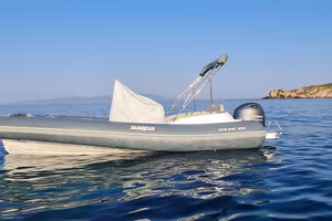 Salpa Soleil 20