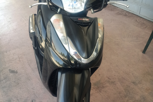 Veramente molto bello