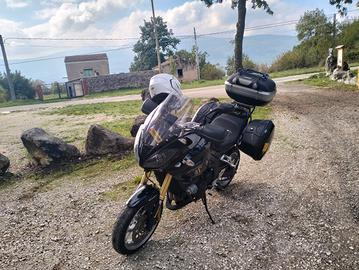 Triumph Tiger 050