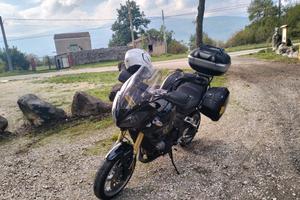 Triumph Tiger 050