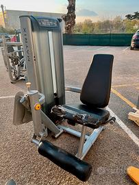 Leg extension matrix versa