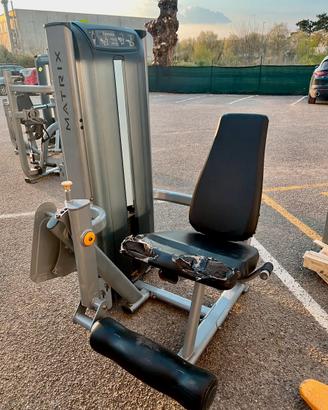 Leg extension matrix versa