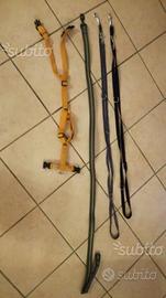 Pettorina e guinzagli