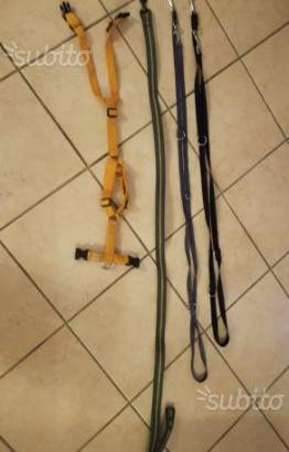 Pettorina e guinzagli