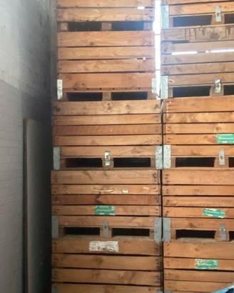 BINS LEGNO 100X120