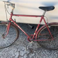 Bicicletta Bianchi Junior