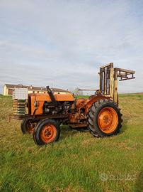 Trattore fiat muletto