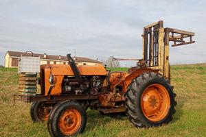 Trattore fiat muletto