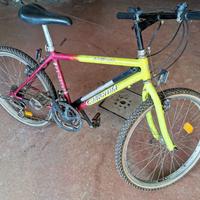 Bicicletta MTB