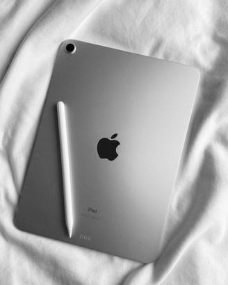 Apple Ipad 2022 come nuovo