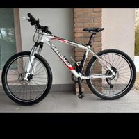 MTB Bottecchia Stelvio 