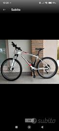 MTB Bottecchia Stelvio 