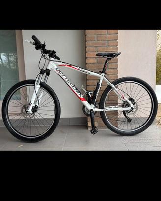 MTB Bottecchia Stelvio 