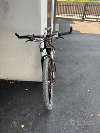 Mountan Bike Ritchey carbon