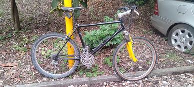 Mountain bike