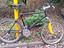 Immagine 1