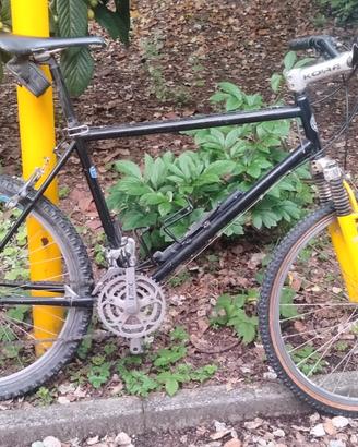 Mountain bike