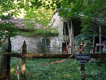 Bosco con rustico