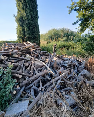 legna da ardere