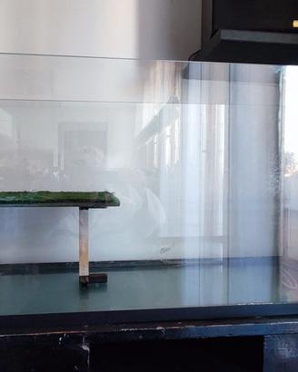 Vasca per tartarughe