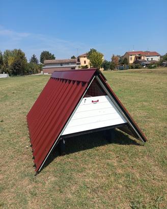 Pollaio artigianale mobile per galline ruspanti