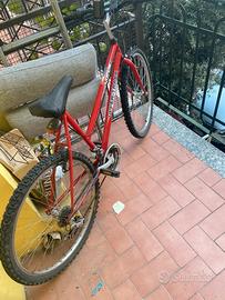 Bicicletta MTB Upper-Track Stark