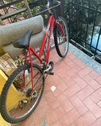 Bicicletta MTB Upper-Track Stark