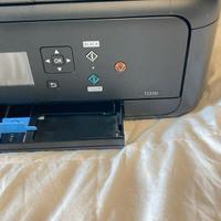 stampante canon ts5150 