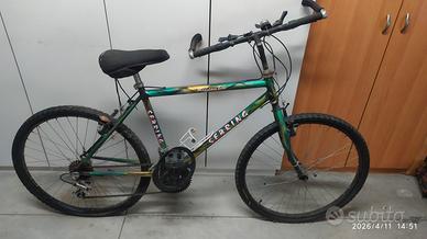  biciclette da sistemare 