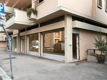 Viani 116 Firenze fondo