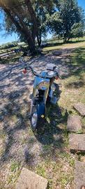 harley davidson fat boy