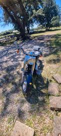 harley davidson fat boy