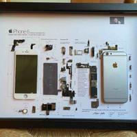 IPhone 6 disassemblato collezione.