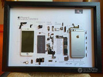 IPhone 6 disassemblato collezione.