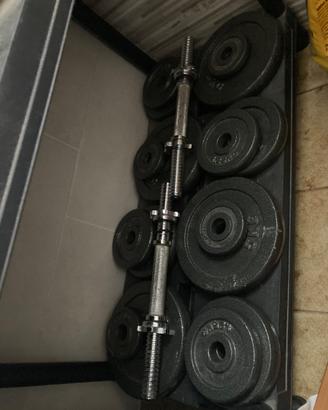 Set Manubri e Pesi in Ghisa (Totale 37kg + manubri