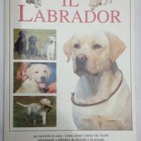Libro IL LABRADOR Guida alla scoperta di una razza
