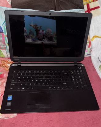 🖥️ Notebook  Toshiba  i3 QuadCore  15.6" led SSD