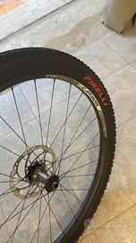 Cerchi mtb
