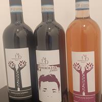 🍷 Vigneto Palí – Un vino che nasce dal cuore