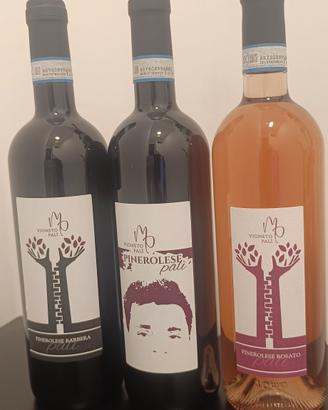 🍷 Vigneto Palí – Un vino che nasce dal cuore
