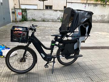 Bici Cargo Elettrica Riese & Mueller