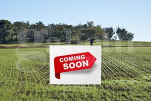 Terreno Agricolo Silea [Cod. rif 3278890VCG]