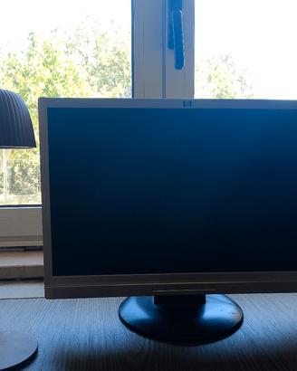 display LCD widescreen HP w19b da 19 pollici 