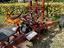 Immagine 18