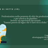 Potatore professionale Olivi 