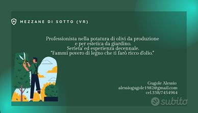 Potatore professionale Olivi 