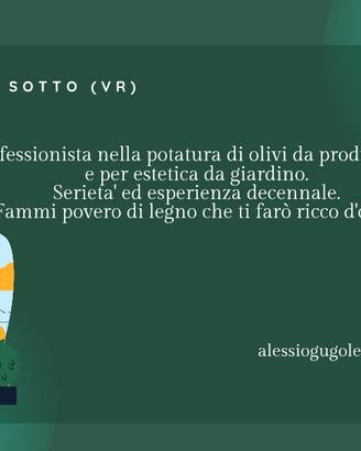 Potatore professionale Olivi 