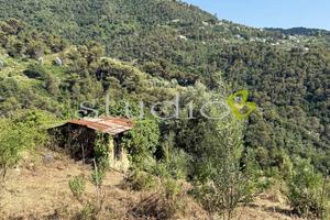 Terreno Edificabile a Seborga