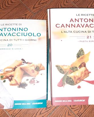 libri di ricette di  cannavacciuolo 